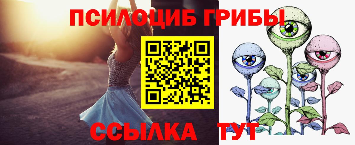 Донецк  Псилоцибиновые грибы мицелий  Вход с VPN 